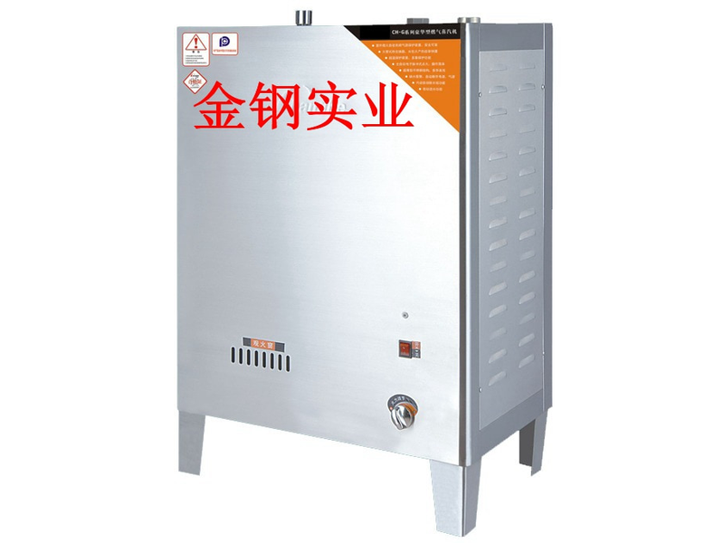 不锈钢蒸汽机